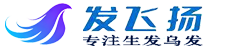 发飞扬